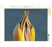 CALVENDO Puzzle Two northern gannets beaking | 1000 pieces, finished size 25.2 ×