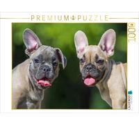 CALVENDO Puzzle Deux Chiots 1000 Pieces 64 x 48 cm from Sista-Tierfoto