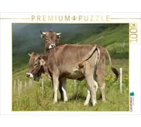 CALVENDO Puzzle Deux Jeunes bovins 1000 Pieces 64 x 48 cm from Juliane Wandel