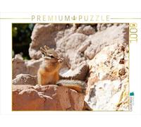 CALVENDO Puzzle Uinta Écureuil Stripe | 1000 pièces Taille de la Pose 64 x 48 cm Photo Puzzle pour Heures de Bonheur
