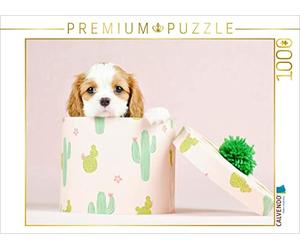 CALVENDO Puzzle Un Adorable Chiot découvre Le Monde 1000 Pieces 64 x 48 cm from Natalie Eckelt