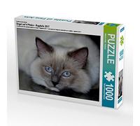 CALVENDO Puzzle Un Ange sur 4 Pattes - Ragdolls 2017 1000 Pieces 64 x 48 cm from Marion Reiß - Seibert