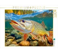 CALVENDO Puzzle Un brochet Capital | 1000 pièces de Taille de la Ponte 64 x 48 cm Puzzle Photo pour des Heures heureuses
