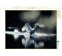 CALVENDO Puzzle Un Calendrier de Photos Swans. élégance Blanche 1000 Pieces 64 x 48 cm from Philippe Henry