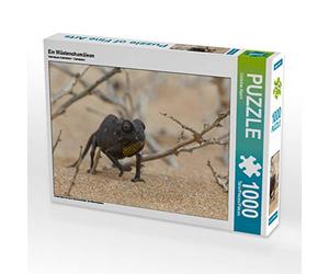 CALVENDO Puzzle Un caméléon du désert 1000 Pieces 64 x 48 cm from Christian Alpert