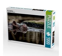 CALVENDO Puzzle Un Hippopotame 1000 Pieces 64 x 48 cm from Markus Van Hauten