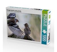 CALVENDO Puzzle Un Jeune Pinson Qui Attend de la Nourriture 1000 Pieces 64 x 48 cm from ropo13