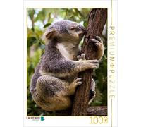 CALVENDO Puzzle Un Koala grimpe sur Un Eucalyptus 1000 Pieces 48 x 64 cm from Renate Bleicher