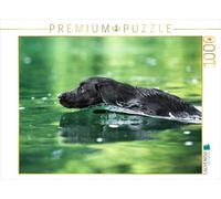 CALVENDO Puzzle Un Labrador Noir nage dans l'eau 1000 Pieces 64 x 48 cm from Cornelia Strunz