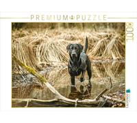 CALVENDO Puzzle Un Labrador Noir voit dans l'eau dans Les roseaux 1000 Pieces 64 x 48 cm from Cornelia Strunz