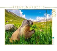 CALVENDO Puzzle Un Lieu d'alimentation Magnifique | 1000 pièces de Taille de la Pose 64 x 48 cm Puzzle Photo pour des Heures heureuses
