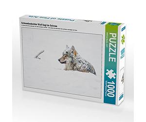 CALVENDO Puzzle Un Loup Couvert de Neige est allongé dans la Neige 1000 Pieces 64 x 48 cm from Wilfried Martin