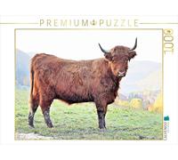 CALVENDO Puzzle Un Motif du Calendrier Highland Cattle, Les bovins des Hautes Terres de Pfeffingen | 1000 pièces - Dimensions : 64 x 48 cm - Puzzle Photo pour des Heures de Bonheur