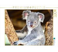CALVENDO Puzzle Un Motif du Calendrier Koalas, compagnons Amusants | 1000 pièces - Dimensions : 64 x 48 cm - Puzzle Photo pour des Heures de Bonheur