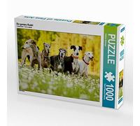 CALVENDO Puzzle Un Paquet Entier 1000 Pieces 64 x 48 cm from Kathrin Köntopp