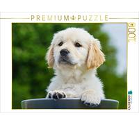 CALVENDO Puzzle Un Petit Bout de Chou 1000 Pieces 64 x 48 cm from Sista-Tierfoto