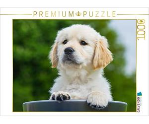 CALVENDO Puzzle Un Petit Bout de Chou 1000 Pieces 64 x 48 cm from Sista-Tierfoto