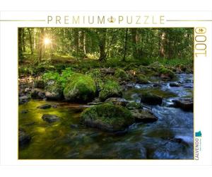 CALVENDO Puzzle Un ruisseau dans Les Montagnes du Harz 1000 Pieces 64 x 48 cm from Steffen Gierok ; Magik Artist Design