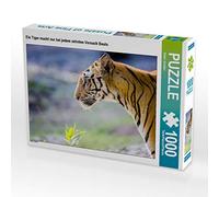 CALVENDO Puzzle Un Tigre ne Fait sa Proie Que sur Une Tentative sur dix. 1000 Pieces 64 x 48 cm from Stefan Schütter