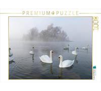 CALVENDO Puzzle Une année avec Les cygnes 1000 Pieces 64 x 48 cm from Roland T. Frank