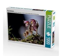 CALVENDO Puzzle Une beauté Rare 1000 Pieces 64 x 48 cm from Pörli Won