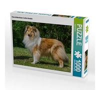 CALVENDO Puzzle Une Belle Chienne Collie 1000 Pieces 64 x 48 cm from Sista-Tierfoto