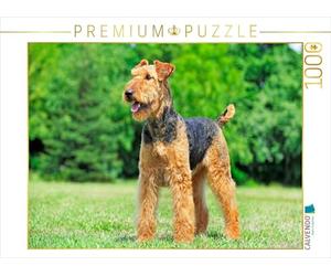 CALVENDO Puzzle Une Belle Fille 1000 Pieces 64 x 48 cm from Sista-Tierfoto