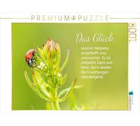CALVENDO Puzzle Une Coccinelle 1000 Pieces 64 x 48 cm from Liselotte Brunner-Klaus