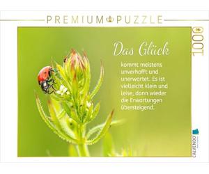CALVENDO Puzzle Une Coccinelle 1000 Pieces 64 x 48 cm from Liselotte Brunner-Klaus