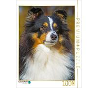 CALVENDO Puzzle Une Douce Chienne Tricolore 1000 Pieces 48 x 64 cm from Sista-Tierfoto