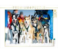CALVENDO Puzzle Une équipe de Chiens de traîneau Pleine d'enthousiasme Lors de la Course 1000 Pieces 64 x 48 cm from Verlag