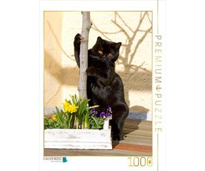 CALVENDO Puzzle Une Image du Calendrier British Short 1000 Pieces 48 x 64 cm from Verena Scholze