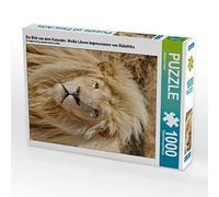 CALVENDO Puzzle Une Image du Calendrier : Lions Blancs Impressions d'Afrique du Sud 1000 Pieces 48 x 64 cm from Thula