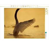 CALVENDO Puzzle Une Image du Calendrier Swans / Version Britannique 1000 Pieces 64 x 48 cm from Philippe Henry