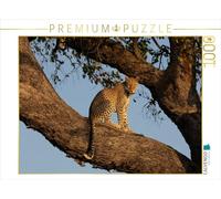 CALVENDO Puzzle Une léopard sur Un Arbre sur Le Chobe au Botswana | 1000 pièces Taille de la Pose 64 x 48 cm Puzzle Photo pour des Heures heureuses