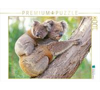 CALVENDO Puzzle Une mère Koala grimpe avec Son Petit sur Son Dos 1000 Pieces 64 x 48 cm from Verlag