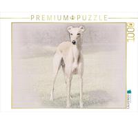 CALVENDO Puzzle Une Photo du Calendrier Whippets 2017 1000 Pieces 64 x 48 cm from Andrea Redecker