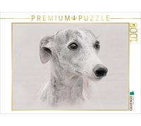 CALVENDO Puzzle Une Photo du Calendrier Whippets 2017 1000 Pieces 64 x 48 cm from Andrea Redecker