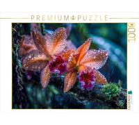 CALVENDO Puzzle Une Touche d'exotisme Rencontre Un Cattleya Intemporel | Taille de la Pose cm Puzzle Photo pour des Heures heureuses
