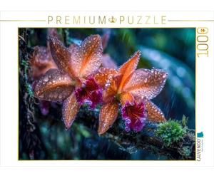 CALVENDO Puzzle Une Touche d'exotisme Rencontre Un Cattleya Intemporel | Taille de la Pose cm Puzzle Photo pour des Heures heureuses