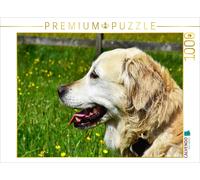 CALVENDO Puzzle Ursprünglich war der Golden Retriever im Einsatz als Apportierhu