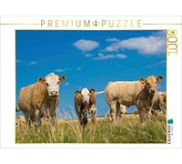 CALVENDO Puzzle Vaches heureuses 1000 Pieces 64 x 48 cm from Karl H. Warkentin