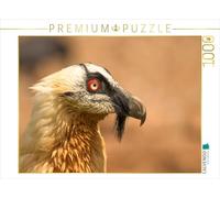 CALVENDO Puzzle Vautour Barbu en Portrait | 1000 pièces de Ponte 64 x 48 cm Puzzle Photo pour des Heures heureuses