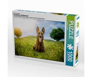 CALVENDO Puzzle Vie du Chien Chien de Berger 1000 Pieces 64 x 48 cm from Schuberts-Fotografie