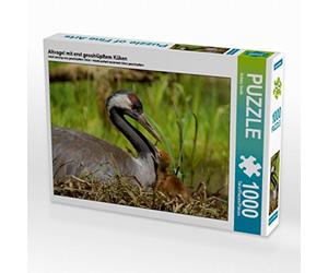 CALVENDO Puzzle Vieil Oiseau avec Un Poussin Seulement éclos 1000 Pieces 64 x 48 cm from Sabine Smith