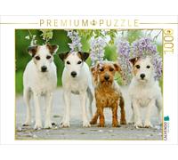 CALVENDO Puzzle Vier Freunde 1000 Teile Puzzle quer | 1000 Teile Lege-Größe 64x4