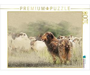 CALVENDO Puzzle Vieux Chiens de Berger Allemand 2017 1000 Pieces 64 x 48 cm from Andrea Redecker