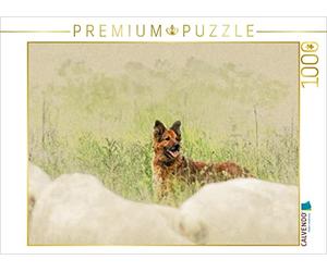 CALVENDO Puzzle Vieux Chiens de Berger Allemand 2017 1000 Pieces 64 x 48 cm from Andrea Redecker
