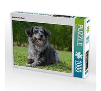 CALVENDO Puzzle Vieux Tigre Allemand 1000 Pieces 64 x 48 cm from Sista-Tierfoto