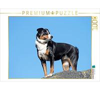 CALVENDO Puzzle Vigilant 1000 Pieces 64 x 48 cm from SchnelleWelten